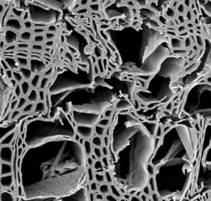 Img 20210719 221718 420x400 3