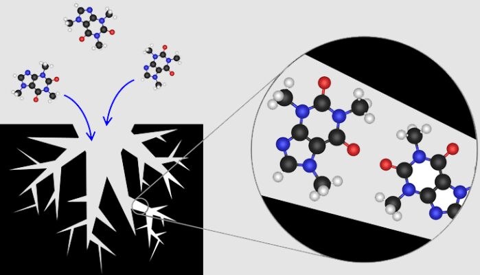 Than Hoat Tinh La Gi 11 9